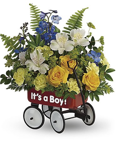 Baby Wagon (Available in baby girl or baby boy)