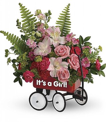 Baby Wagon (Available in baby girl or baby boy)