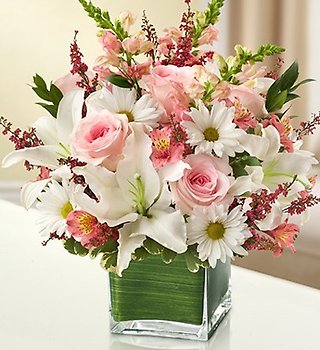Loving Thoughts in Pink &#038; White